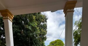 Full de visitas:Marabinos honraron a sus madres