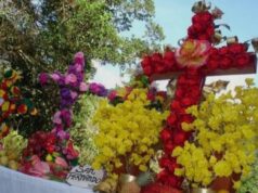 Fidel y la Cruz de Mayo