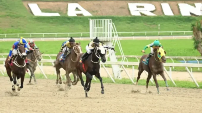 Hipodromo-La-Rinconada14.webp