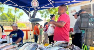 Alcaldía de Maracaibo cierra Feria del Pescado con cuatro jornadas exitosas
