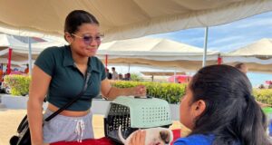 Más de 4.200 mascotas atendidas durante el primer trimestre