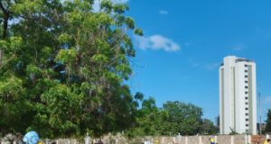 Alcaldía de Maracaibo intensifica limpieza y mantenimiento en cementerios municipales