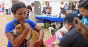 Vacunación antirrábica de mascotas llega a parroquia Juana de Ávila