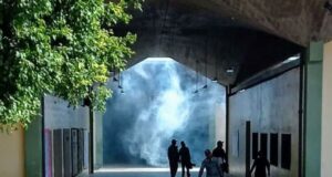 Ejecutan jornada de fumigación en escuelas de las parroquias Cacique Mara y Cecilio Acosta