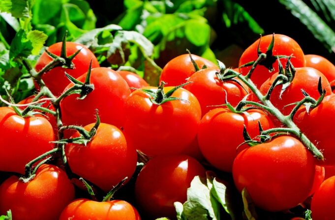 Tomates.jpg