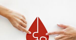 Donar sangre: El proceso biológico que oxigena y renueva tu salud