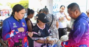 Esterilizados más de 100 animalitos en jornada del IMPA