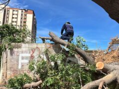 Engherbert Atencio, Comandante de Bomberos: «Maracaibo soportó el aguacero del domingo y no hay incidentes graves»