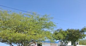 Retenido vehículo de conductor que huyó tras causar accidente contra una familia en Maracaibo