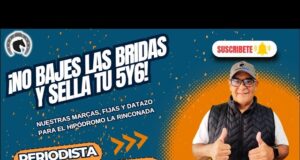 ¡Llegó el fin de semana hípico! Sigue las mejores orientaciones para Saratoga, Valencia y La Rinconada