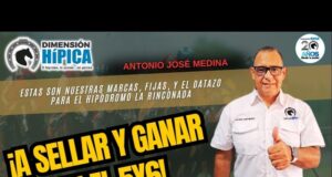 Nuestras orientaciones para este sábado en Saratoga y Valencia, y este domingo en el Hipódromo de Valencia