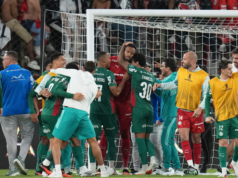 Palmeiras logró su boleto a semifinales Conmebol