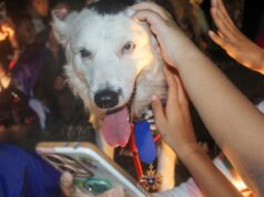 Tsunami estrenó el Parque Canino reinaugurado por la Alcaldía en el Ana María Campos