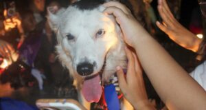 Tsunami estrenó el Parque Canino reinaugurado por la Alcaldía en el Ana María Campos