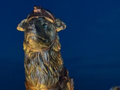Alcalde Di Martino: Es un acto de heroísmo rescatar animales