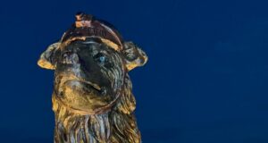 Alcalde Di Martino: Es un acto de heroísmo rescatar animales