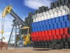 En $93,75 se cotiza el barril de petróleo criollo