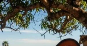Asiste al Aula Magna de la URU: Hoy a las 6 pm inician semifinales del Festival Maracaibo Elige la Gaita del Año 2026