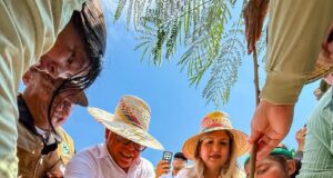 Plantan más de 3 mil árboles en la Vereda del Lago en el marco del Encuentro del Motor Forestal