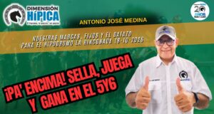¡A ligar nuestras orientaciones hípicas para Valencia, Santa Anita Park y La Rinconada!